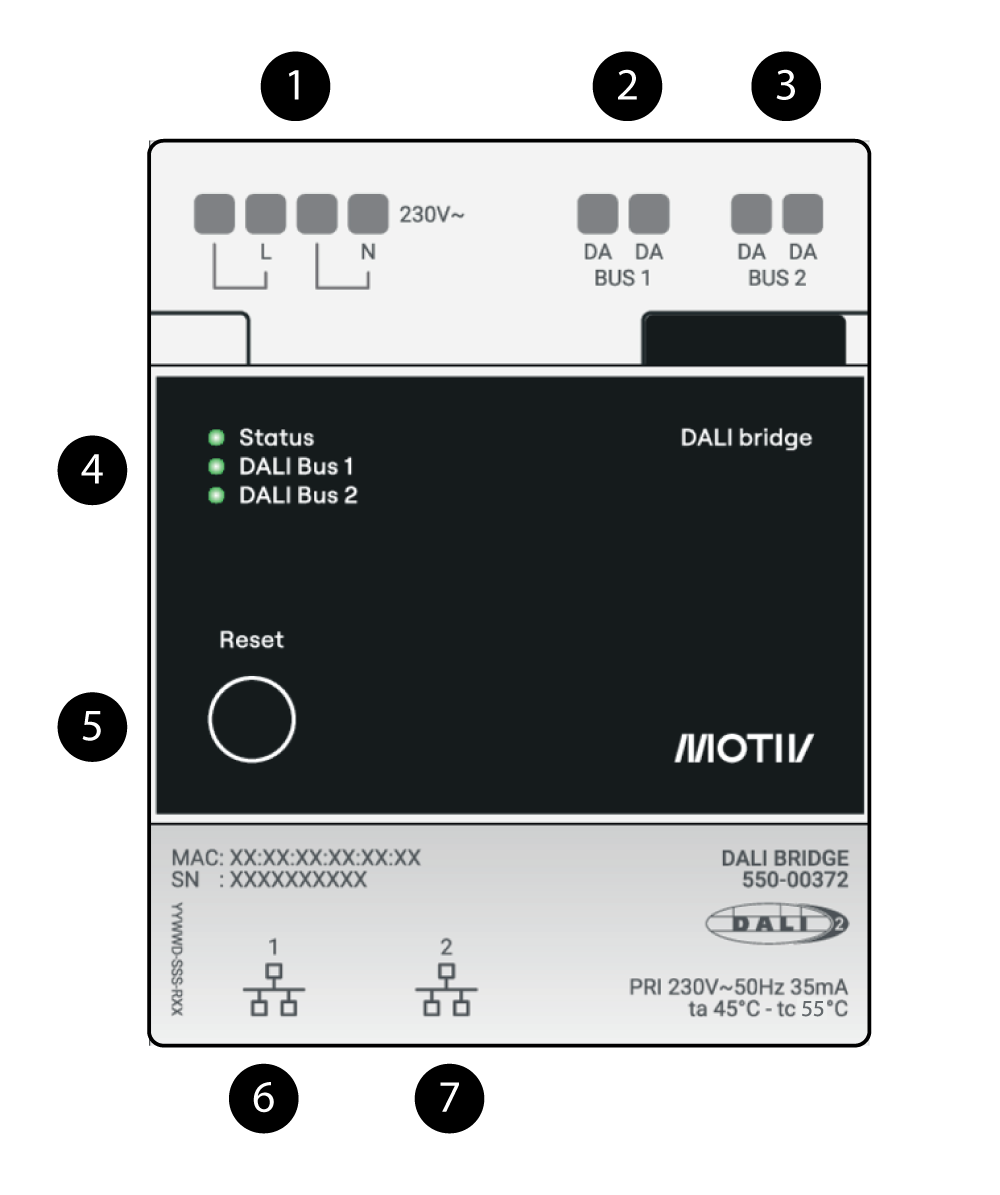 Bridge_Connections.png
