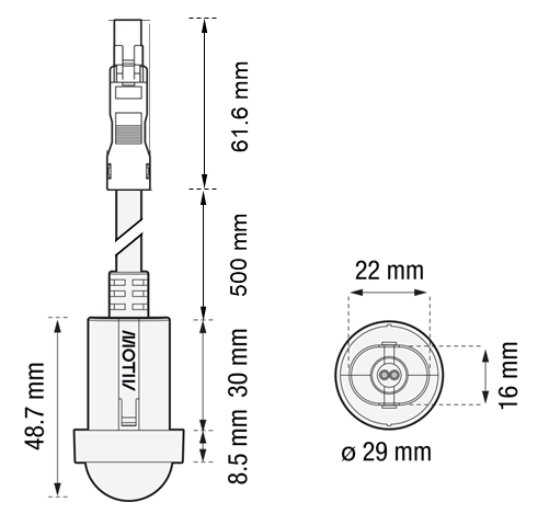 Detector.png